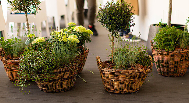 Цветущая столица: заведение «В Boutique Bar» объединило неравнодушных к экологии и озеленению Киева